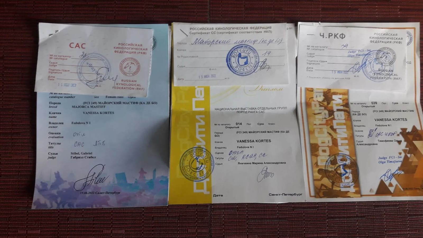 Дипломы и сертификаты Рады